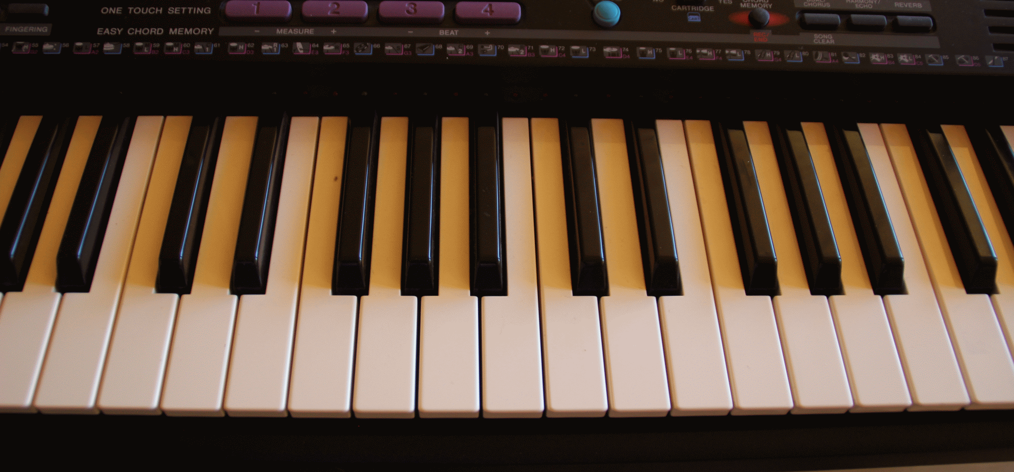 klaviatur-keyboard-mit-funktionstasten